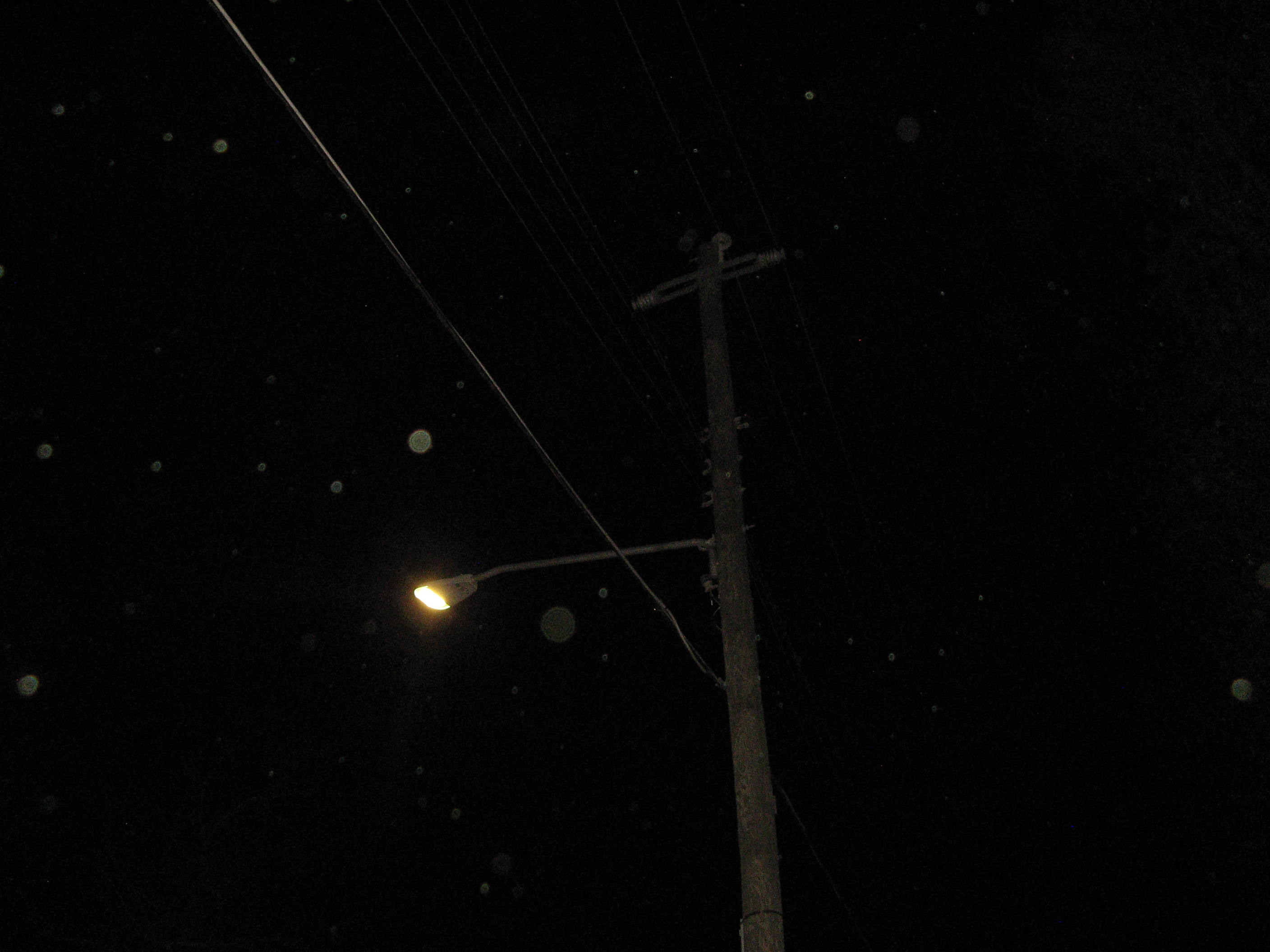 Artwork 3